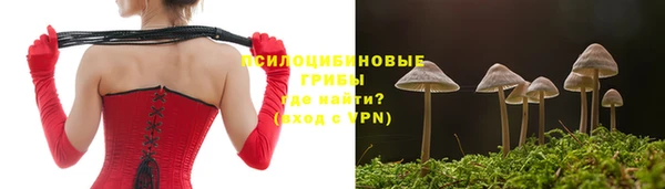 ешки Алексин