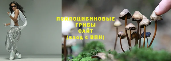 ешки Алексин