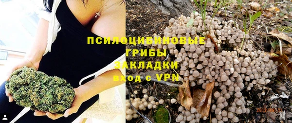 эйфоретик Алзамай