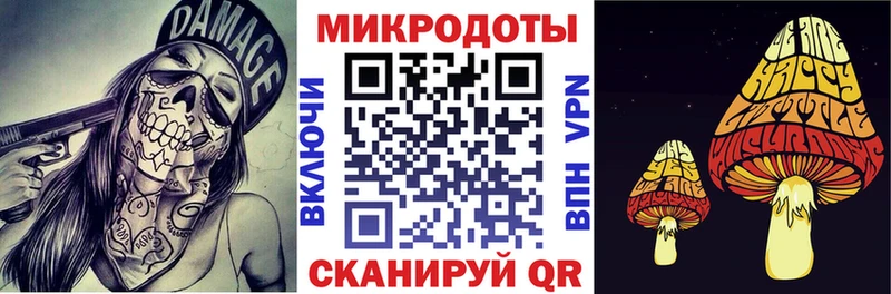 Галлюциногенные грибы Psilocybine cubensis Новосиль