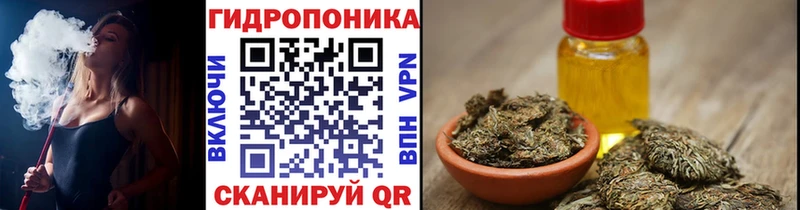 OMG ONION  Новосиль  Канабис White Widow 